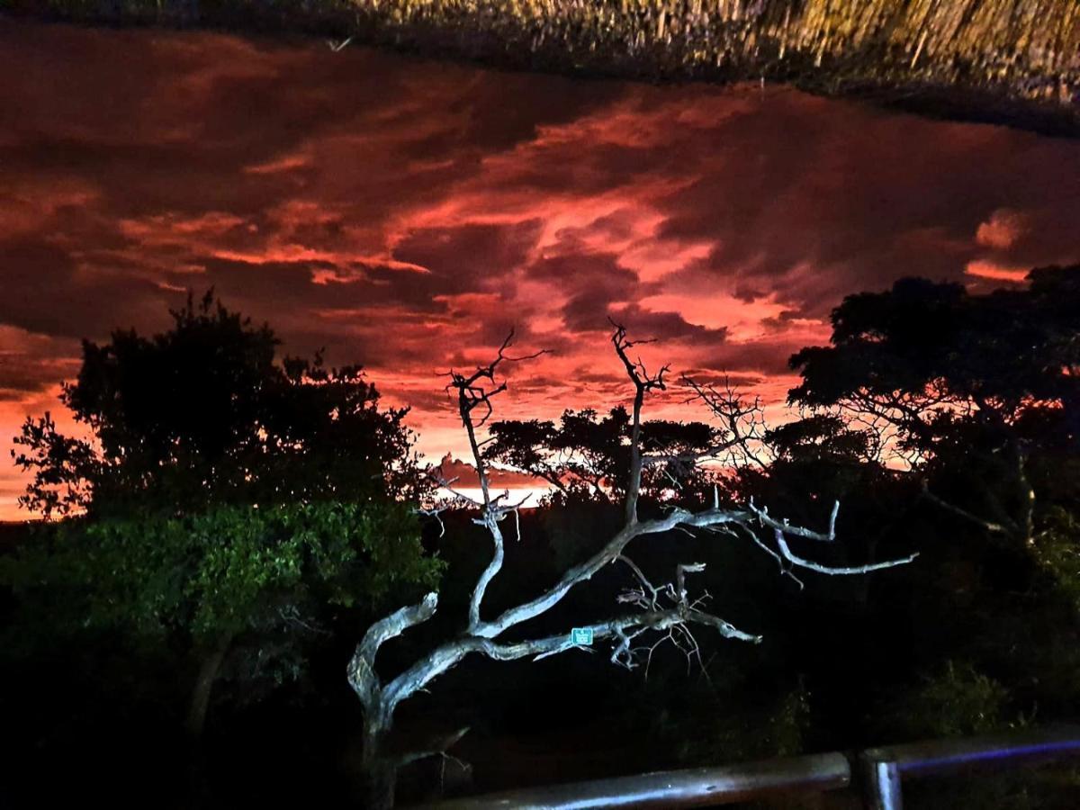 636 Itaga Safari Lodge, Mabalingwe Nature Reserve Mabula Game Reserve Bagian luar foto