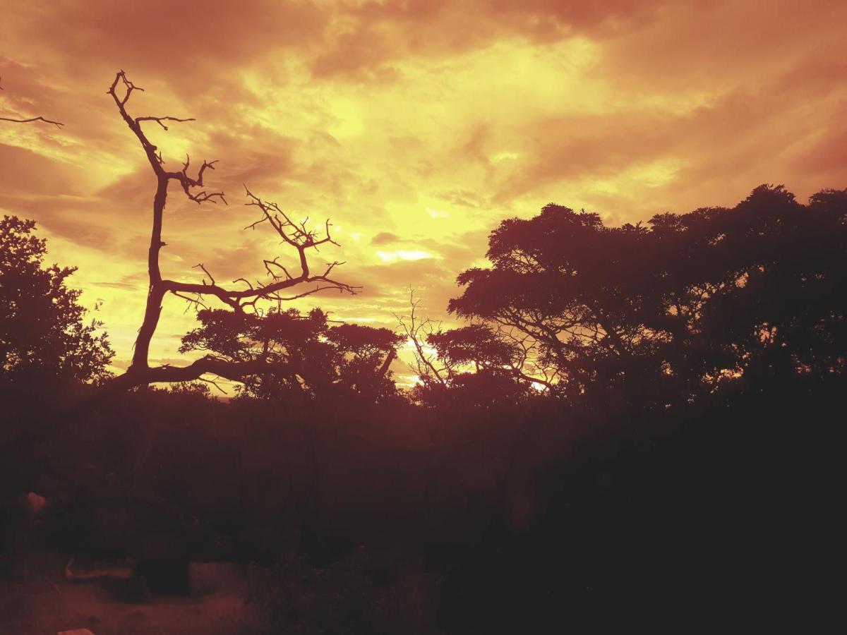 636 Itaga Safari Lodge, Mabalingwe Nature Reserve Mabula Game Reserve Bagian luar foto