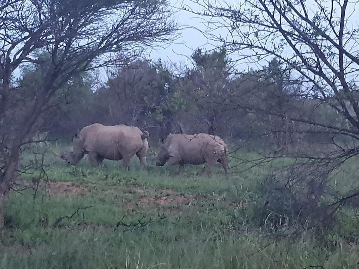636 Itaga Safari Lodge, Mabalingwe Nature Reserve Mabula Game Reserve Bagian luar foto